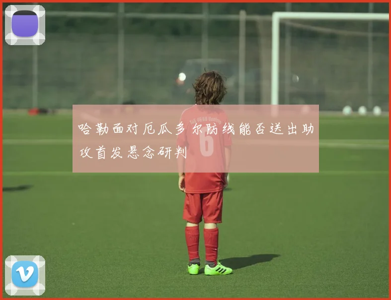 哈勒面对厄瓜多尔防线能否送出助攻首发悬念研判