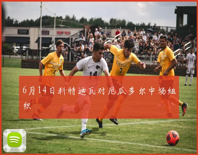 6月14日科特迪瓦对厄瓜多尔中场组织